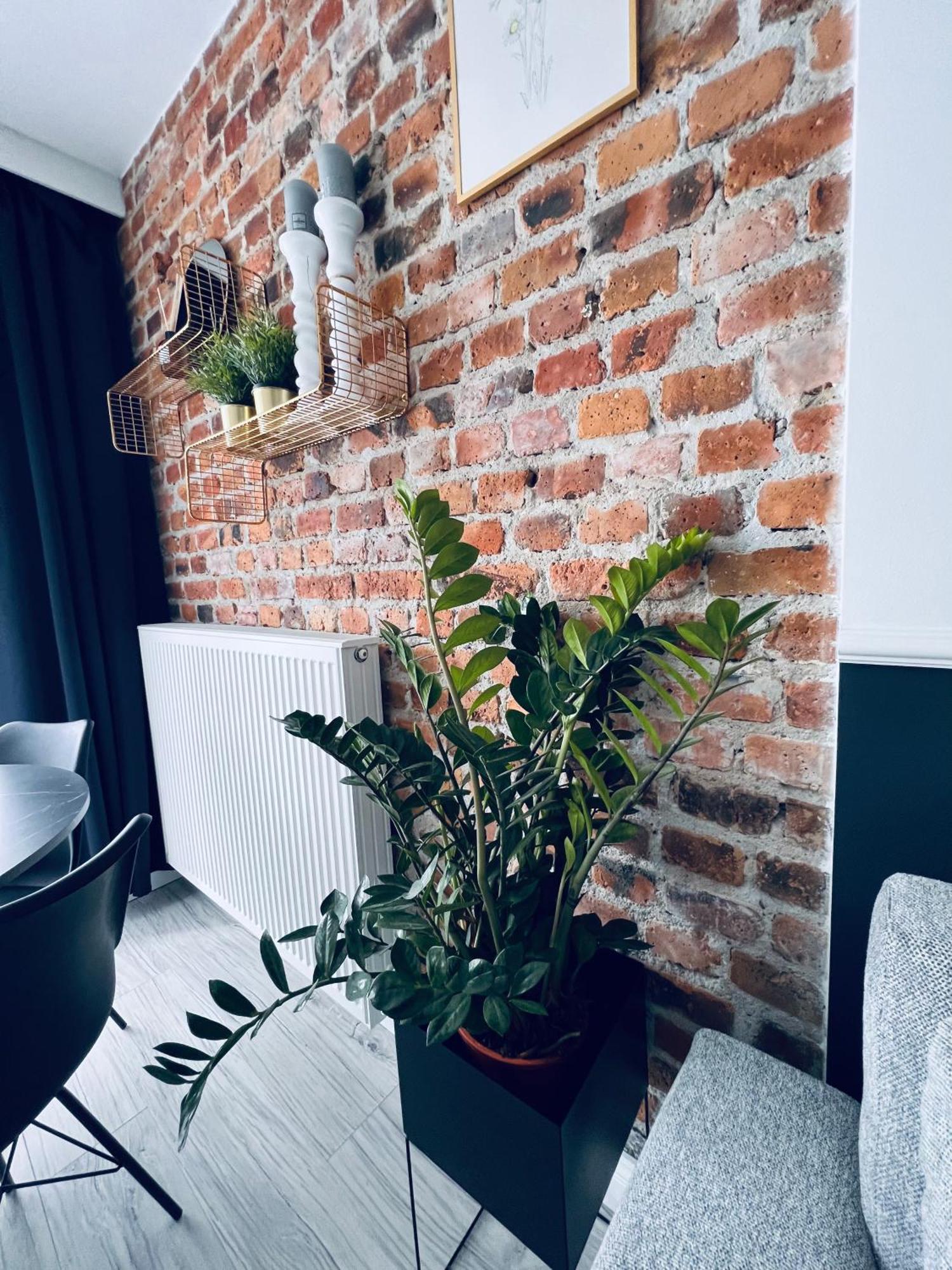 Apartamenty Żary 外观 照片